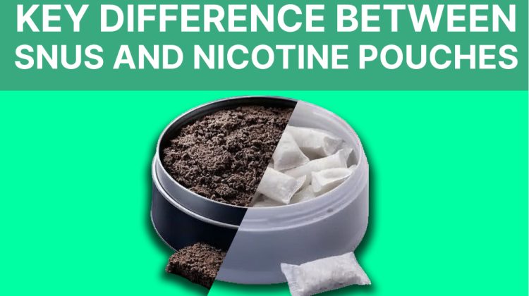 Key Differences Between Snus and Nicotine Pouches